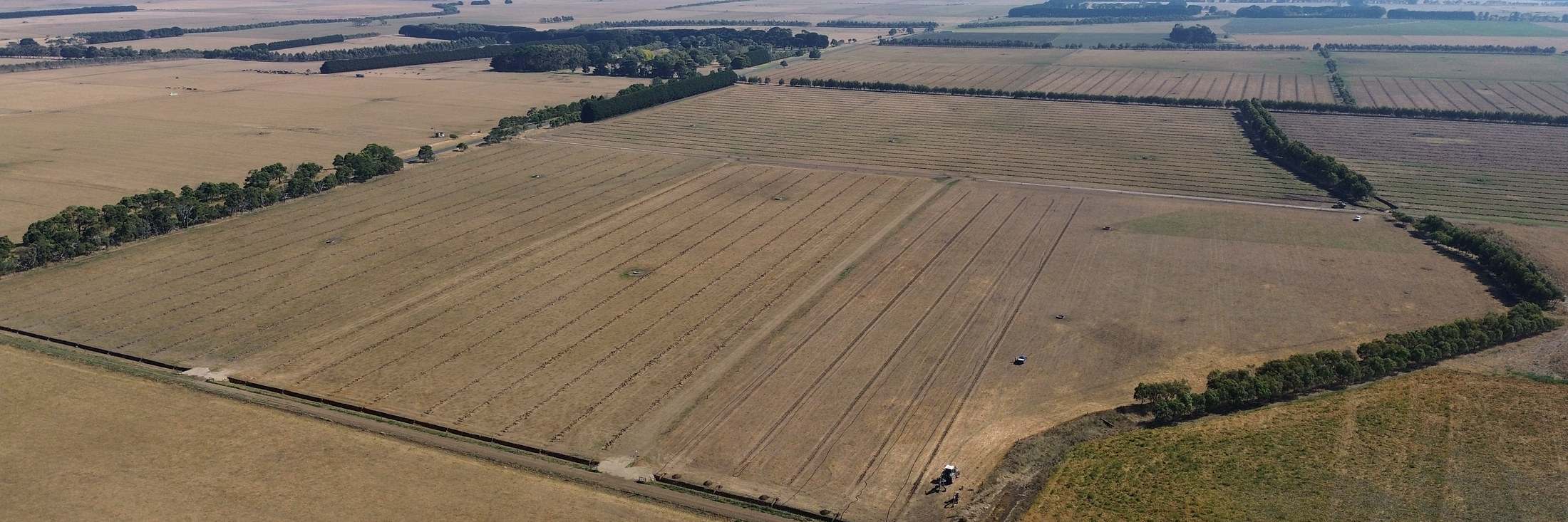 Aerial view of a field with parallel tile drainage lines run across it